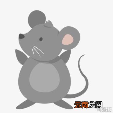 十二生肖中老鼠为什么排第一 生肖中老鼠为什么排第一