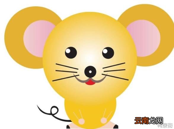 属鼠的名字带什么好胰岛素抵抗 属鼠的名字带什么好