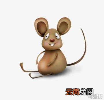 属鼠的名字带什么好胰岛素抵抗 属鼠的名字带什么好