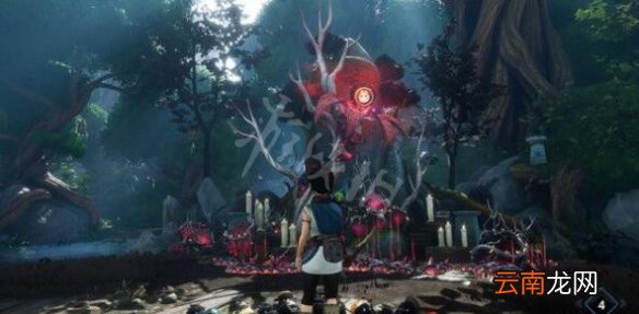 柯娜精神之桥蜡烛怎么点 神渔圣坛蜡烛点燃顺序分享