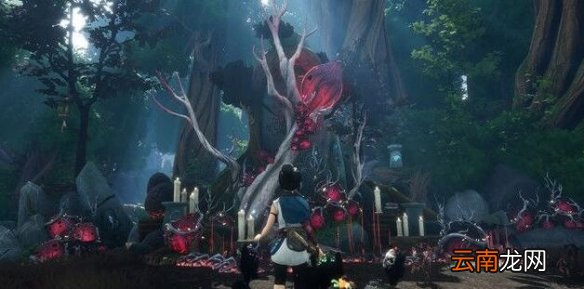 柯娜精神之桥蜡烛怎么点 神渔圣坛蜡烛点燃顺序分享