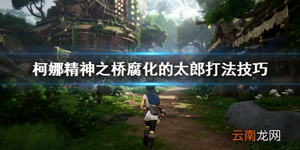 柯娜精神之桥腐化的太郎怎么打 腐化的太郎打法技巧