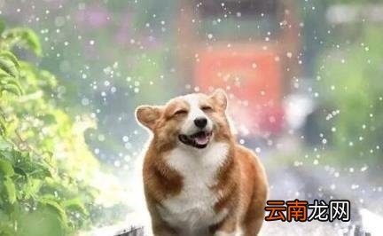 抖音运营有哪些技巧 抖音短视频的运营技巧