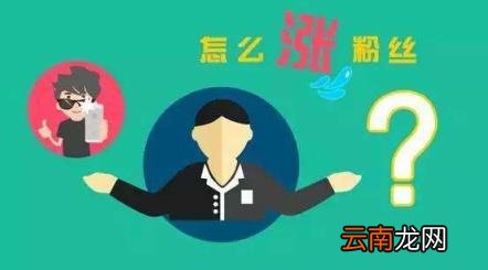 头条号涨粉攻略:一招教你如何快速涨粉5000