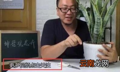 今日头条如何涨粉?教你3个实用头条号涨粉技巧!