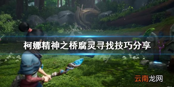 柯娜精神之桥腐灵在哪 柯娜精神之桥腐灵寻找技巧分享