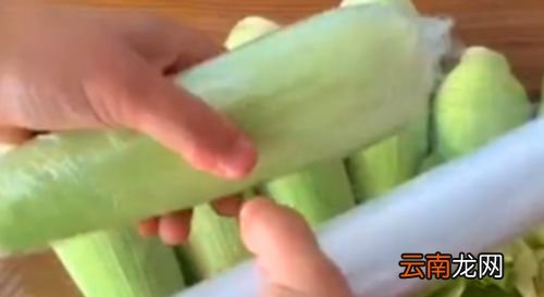 新鲜玉米怎么冷冻保存