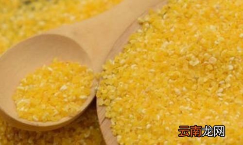 玉米储藏生虫怎么办