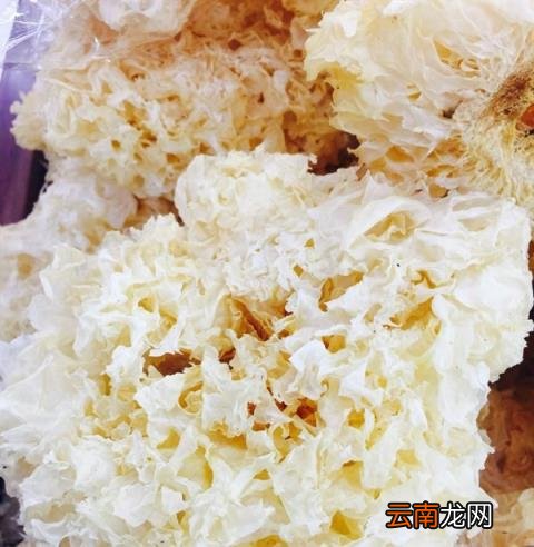 银耳汤的功效和营养价值 银耳汤有什么功效