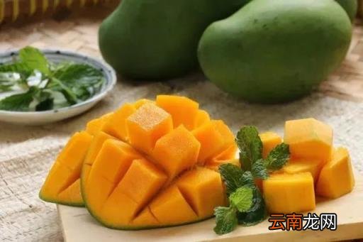 一文告诉你答案 芒果能放冰箱冷藏吗