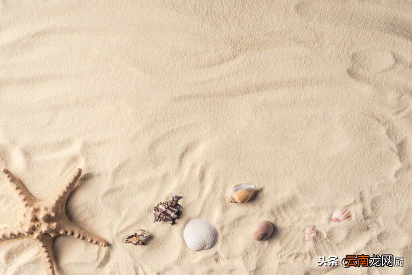 螃蟹的保存小妙招 螃蟹如何保存
