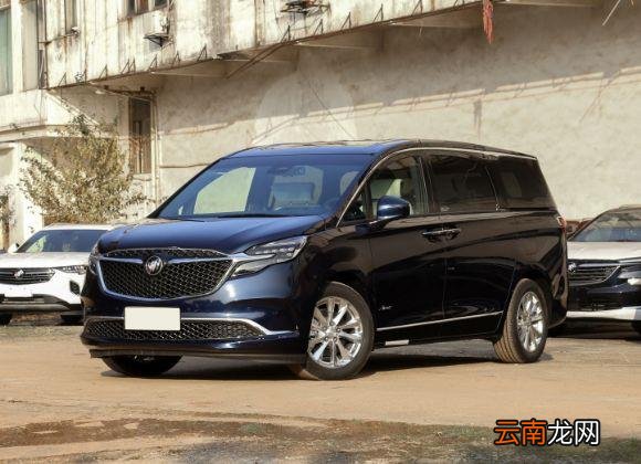 在中国销售的全球车型 什么车年销量