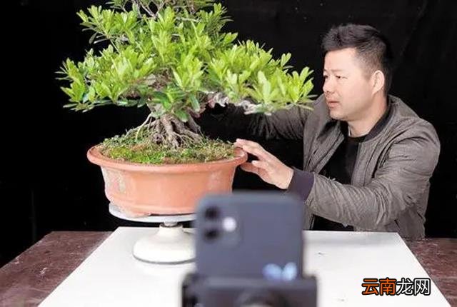 在家能干什么活儿挣钱 在家挣钱的活