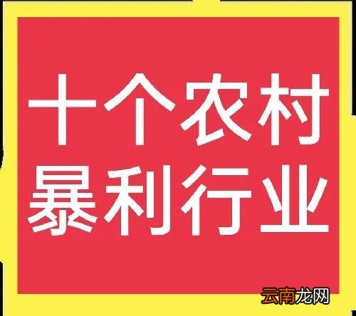 最新农村致富好项目 适合农村致富项目