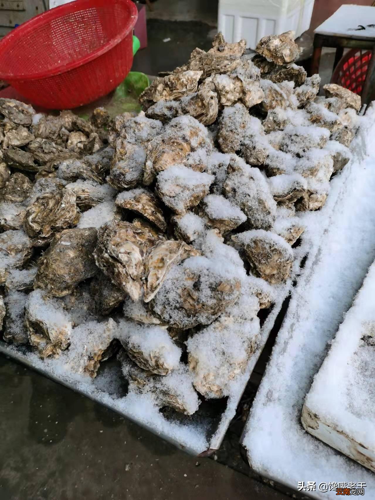 过节一般送什么礼好一点 过节送礼送什么好