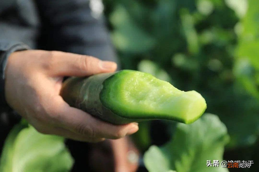 过节一般送什么礼好一点 过节送礼送什么好