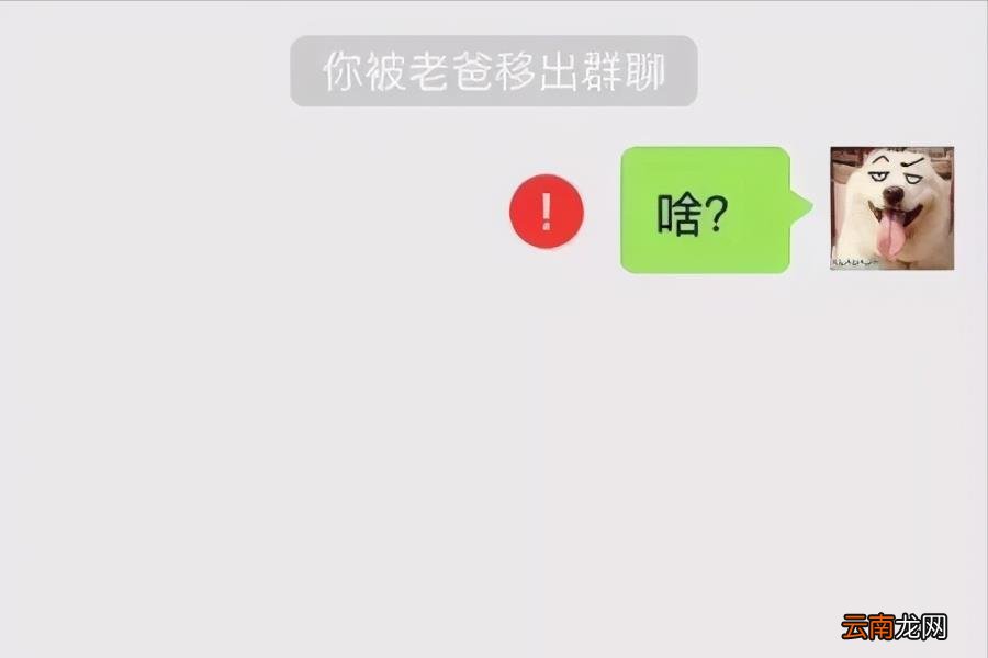 微信群主怎么一键解散群 微信怎么解散群聊