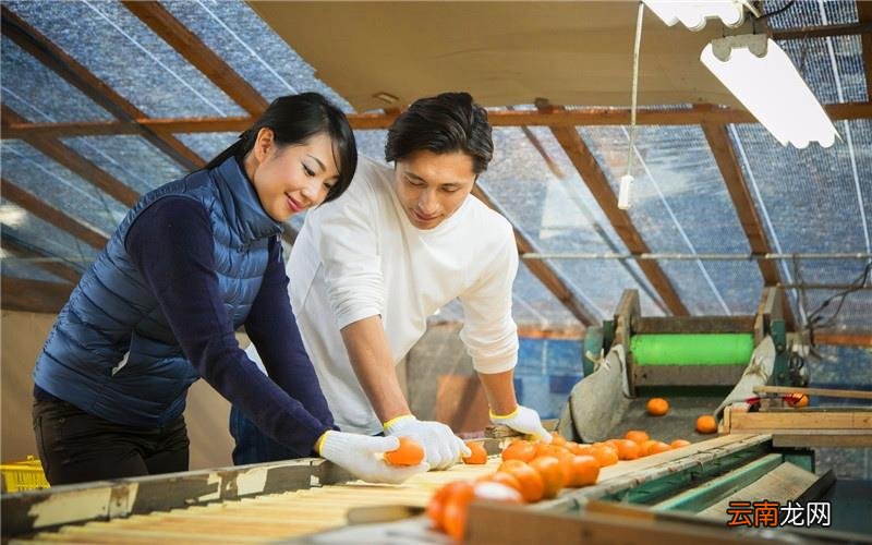 在家开个什么加工厂比较赚钱 想开加工小厂