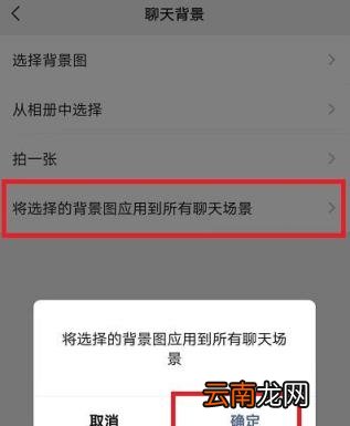 微信8.0全屏动态背景怎么弄 微信8.02怎么设置全屏动态背景