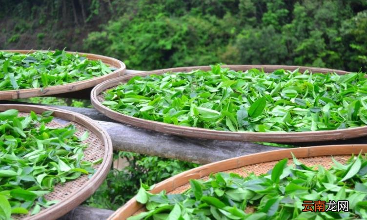 开茶叶店赚钱吗?大概利润多少呢 做卖茶叶的生意好吗