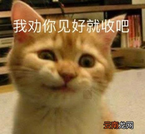 群名称搞笑沙雕 沙雕又好笑的群名