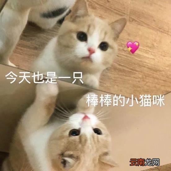 群名称搞笑沙雕 沙雕又好笑的群名