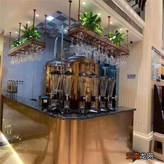 酿啤酒设备多少钱一套价格厂家 家庭自酿鲜啤酒设备大概多少钱