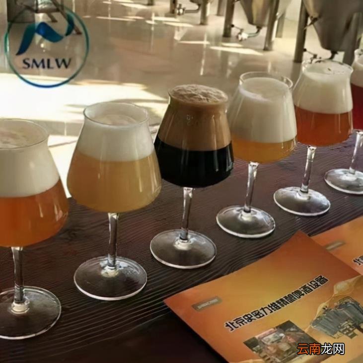 酿啤酒设备多少钱一套价格厂家 家庭自酿鲜啤酒设备大概多少钱