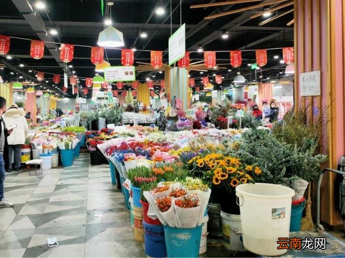 北京最大最便宜的花卉批发市场 北京批发花卉哪里便宜
