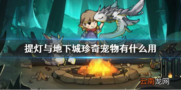 提灯与地下城珍奇宠物有什么用 提灯与地下城珍奇宠物介绍