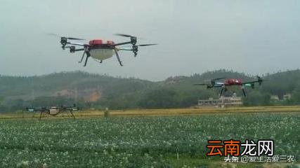 农村最缺什么生意,怎样销路啊 小城市最缺什么生意
