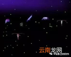 世界上最大的鱼类介绍 世界上最大的鱼类是什么