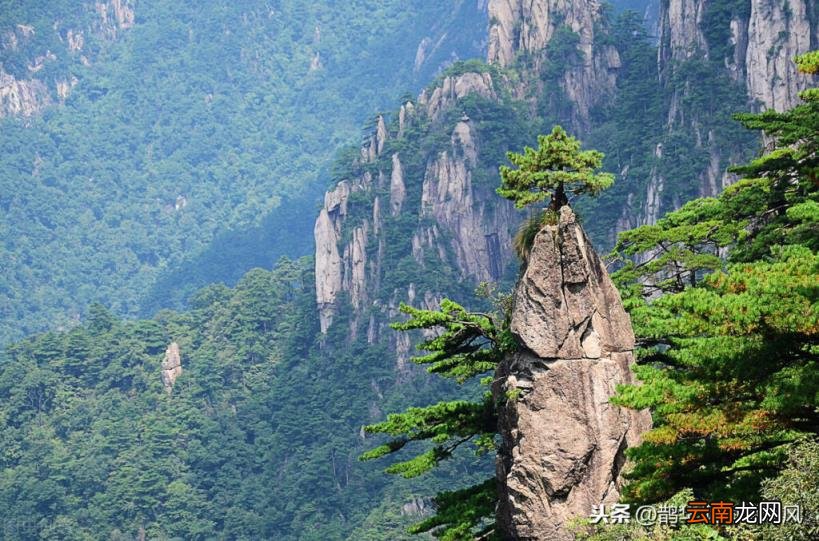 黄山奇石的特征介绍 黄山奇石有哪些奇石