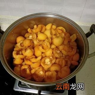 手工枇杷膏的做法教程 枇杷膏的做法