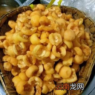 手工枇杷膏的做法教程 枇杷膏的做法
