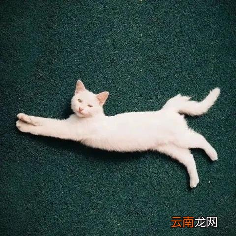 有哪些好记的微信号 好记有意思的微信号