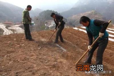 十大没人注意的冷门暴利行业,不起眼的暴利生意-简书