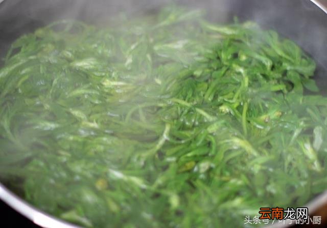 青团的由来和做法 青团怎么来的