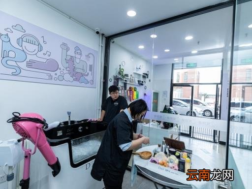 宠物店一年赚多少 开宠物店一个月能挣多少钱