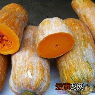 南瓜的作用和功效 南瓜的功效有哪些