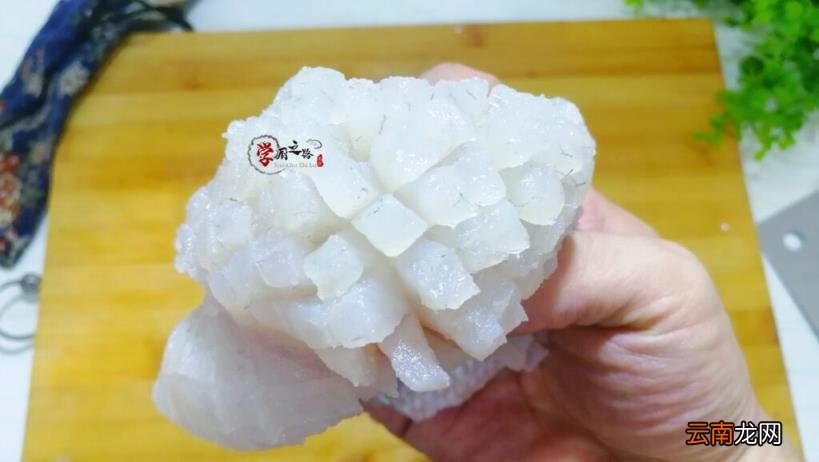 松鼠鱼的制作方法教程 松鼠鱼怎么做