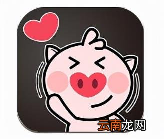 10大聊天软件 哪些好的聊天软件