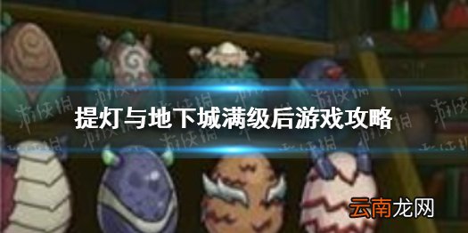 提灯与地下城满级后做什么 提灯与地下城满级后游戏攻略