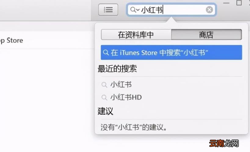 小红书怎么用电脑看 小红书怎么在电脑上使用