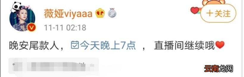 薇娅收入到底多高 薇娅净收入