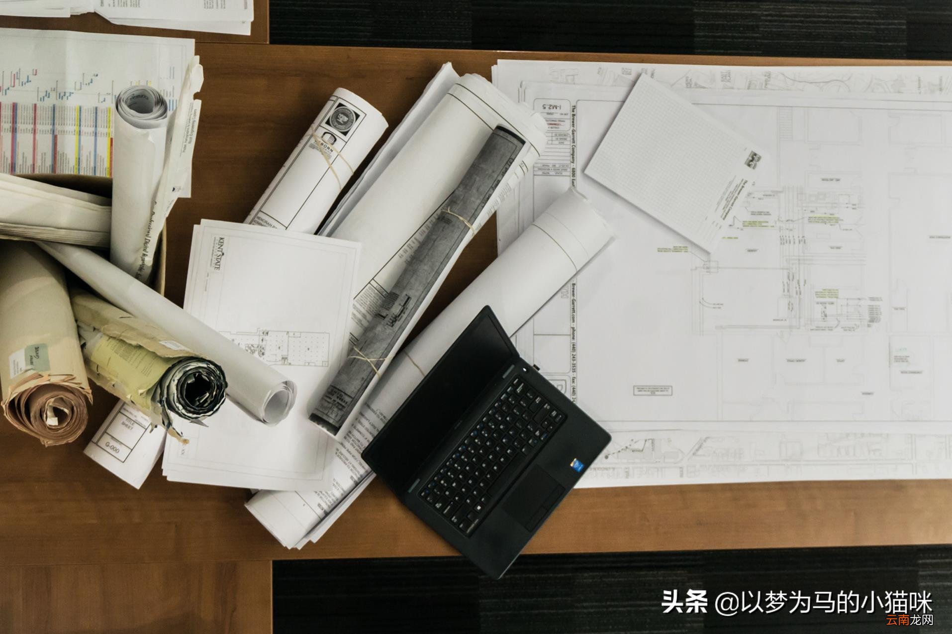 没学历可以学什么技术 学什么专业最赚钱