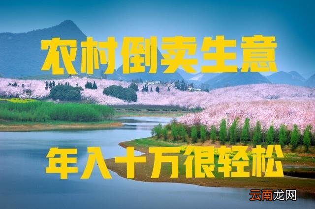 农村倒卖什么东西能赚钱 倒卖什么赚钱利润大