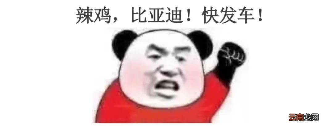 上海新能源购买流程 上海小汽车怎么买