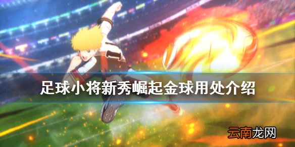 足球小将新秀崛起金球有什么用 足球小将新秀崛起金球用处