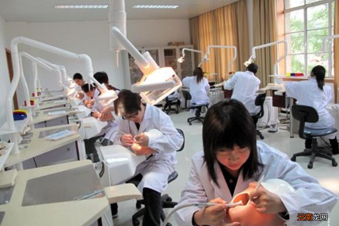 女生可以学哪些技术 女生学什么技术赚钱